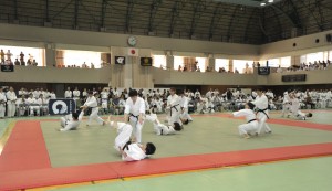 CHIG066