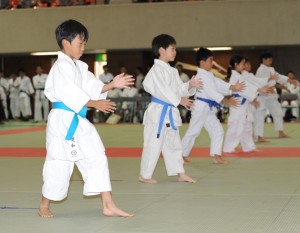 CHIG084