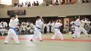 CHIG085