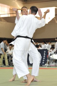 CHIG113