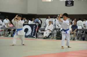 LIN_3015_R